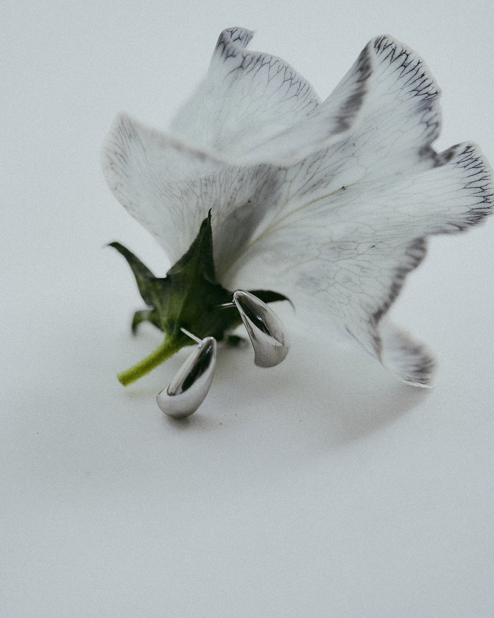 #color_silver